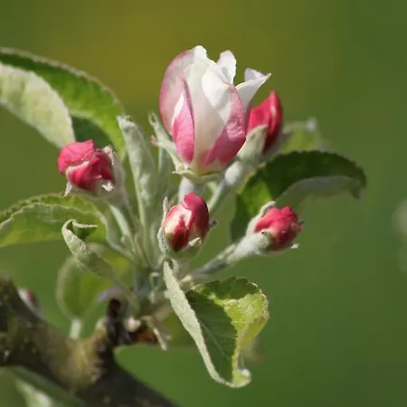 ゲストハウス La Bastide Du Roy
