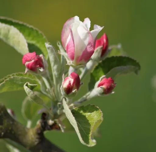Guest house La Bastide Du Roy
